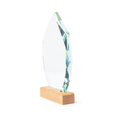 Troféu Pulman